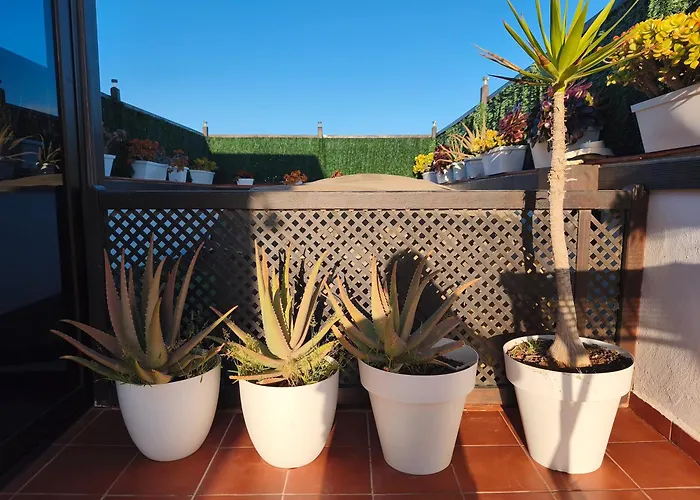 Apartmán Casa Orymar *