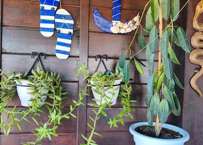 Apartmán Casa Orymar