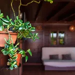 Casa Orymar * El Cotillo (Fuerteventura)