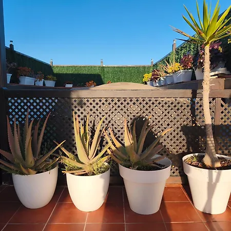 Appartement Casa Orymar *