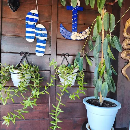 Appartement Casa Orymar