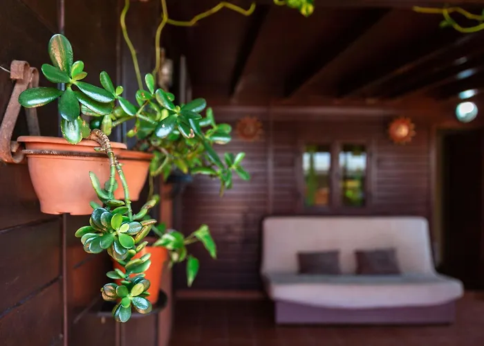 Casa Orymar Διαμέρισμα *